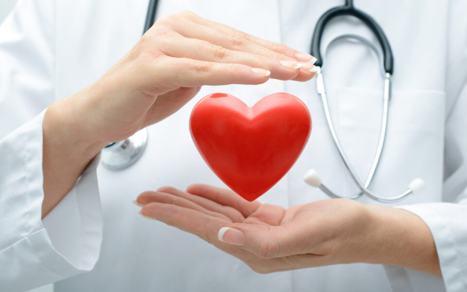 Doctor holding heart